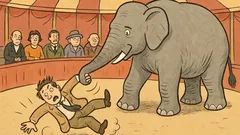 Vtip: Európan v Indii stretne sloníka...